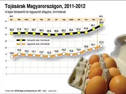 Kiderült, miért tojnak aranyárban a tyúkok