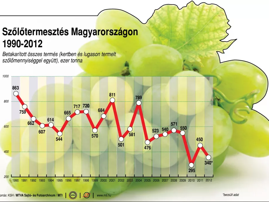 Lényegesen több szőlő termett tavaly