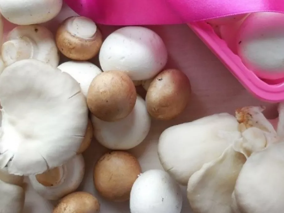 Pink tálcás csiperkével a mellrák ellen