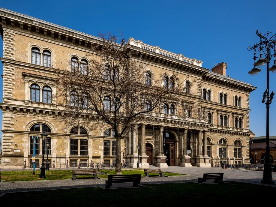 A világ 100 legjobbja közt a Corvinus nemzetközi kereskedelmi mesterszakja