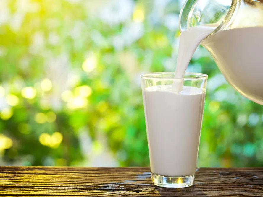 Tejkóstoló bárt nyitottak Hollandiában