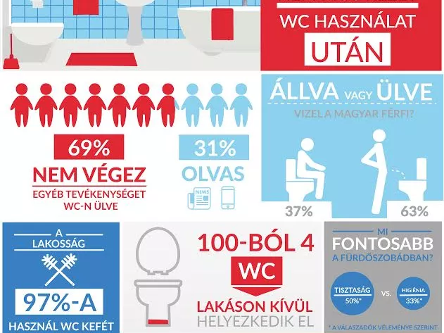Főleg fertőtlenítővel tisztítják WC-jüket a magyarok