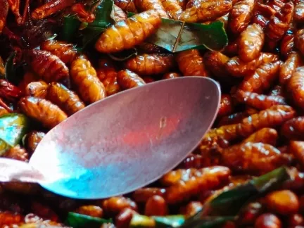 Rovaralapú ételek érkeznek a svájci Coopokba