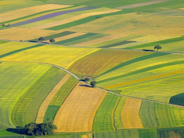 A magyar agrárkibocsátást elemezte a KSH
