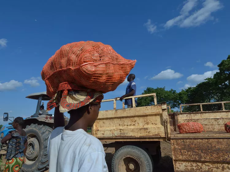 Afrikai agrárdiplomácia: fogadókészek ránk