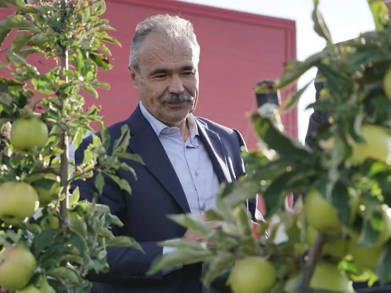 Összefogás kell a hazai almatermesztésben