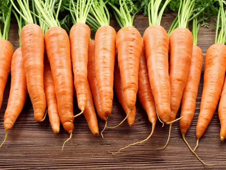 Augusztusban nőttek az agrártermelői árak