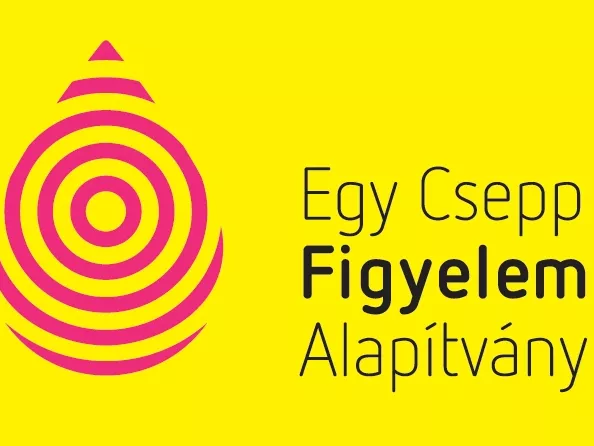 Egy Csepp Világnap és Diabétesz Séta