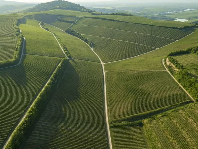 Villány a borkedvelők kedvenc úticélja
