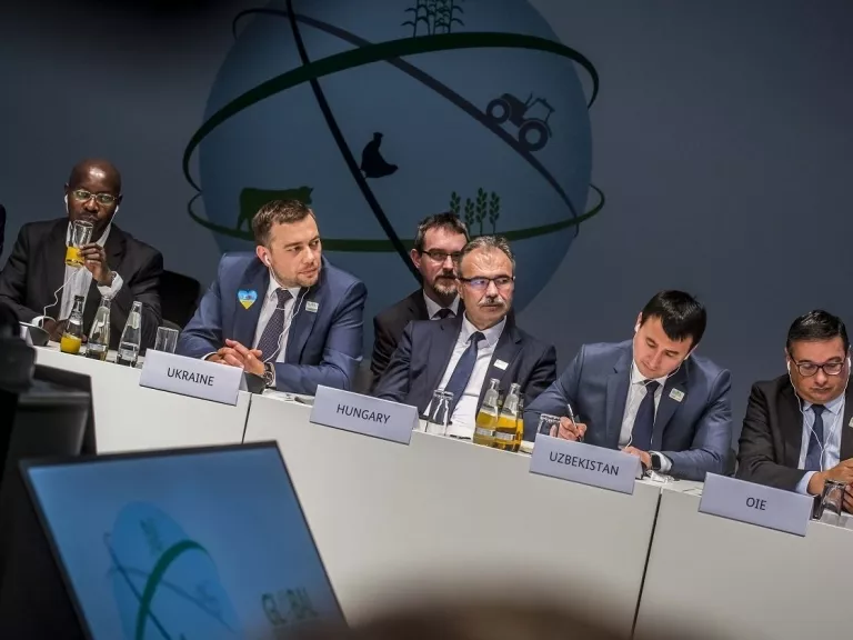 A digitalizáció forradalmi jelentőségű