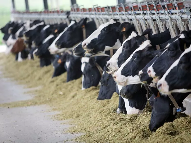 Az agrároktatás iránt is érdeklődik Kazahsztán