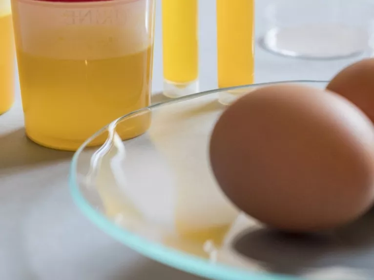 Átfogóan ellenőrizték az élelmiszerláncot