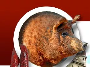 Résen van a mangalica