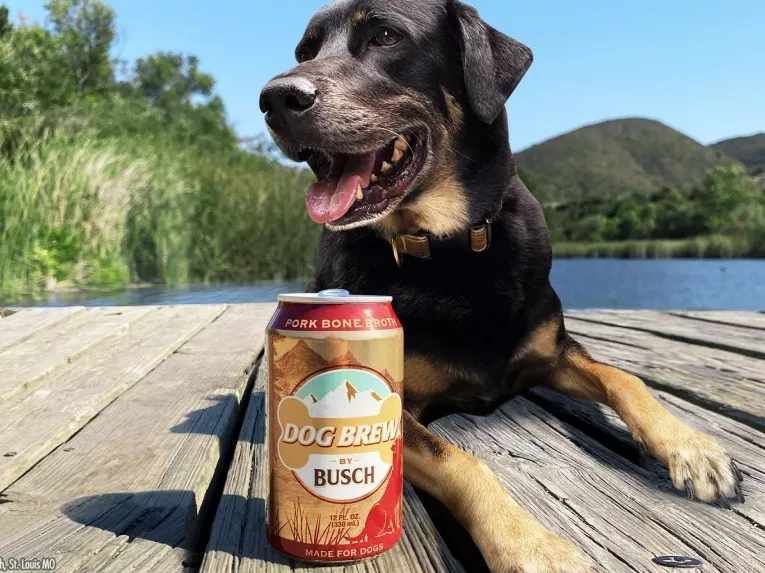 Busch Just Released A New Beer Made Specifically For Dogs