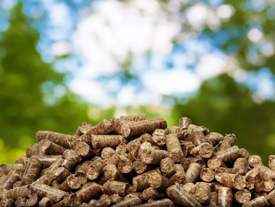 Ellenőrzi a Nébih a biomassza-termelőket
