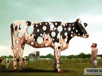 A svájci ementáli és a Milka is szenved az erős franktól