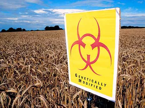 Gráf József is érintett a GMO-ügyben?