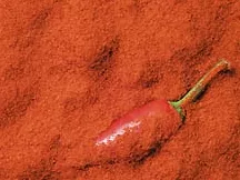 A Szegedi Paprika Zrt. közleménye