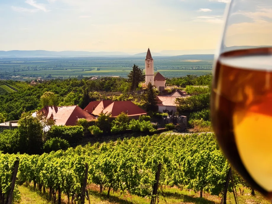 Fókuszba kerültek a tokaji borászatok