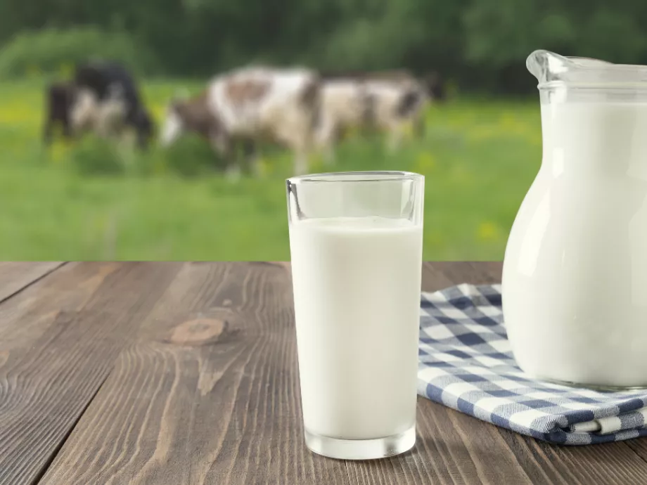 A tej árképzését vizsgálja felül a GVH